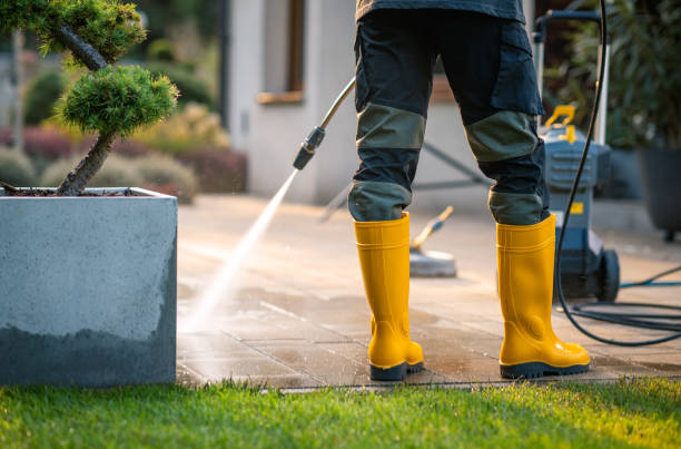 Best Power Washing Near Me  in Ranchester, WY